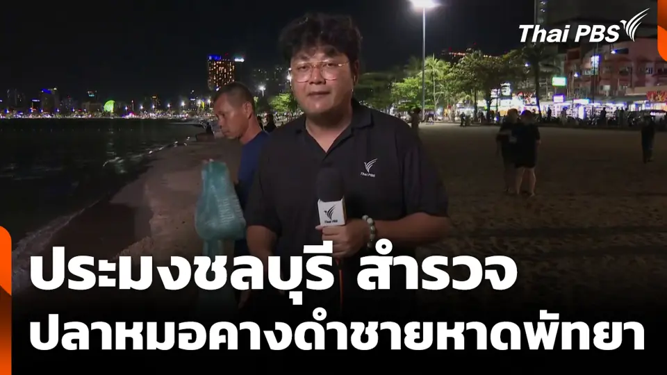 ประมงชลบุรี สำรวจปลาหมอคางดำชายหาดพัทยา