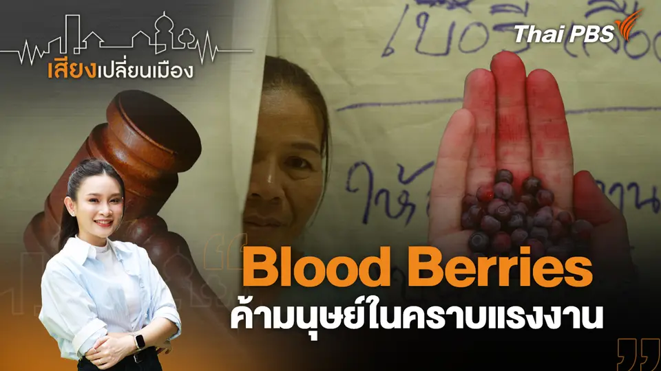 Blood Berries ค้ามนุษย์ในคราบแรงงาน