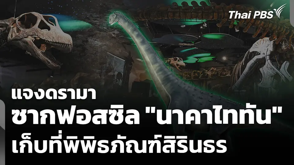 แจงดรามาเก็บซากฟอสซิล "นาคาไททัน" ที่พิพิธภัณฑ์สิรินธร ไม่ใช่แหล่งค้นพบ