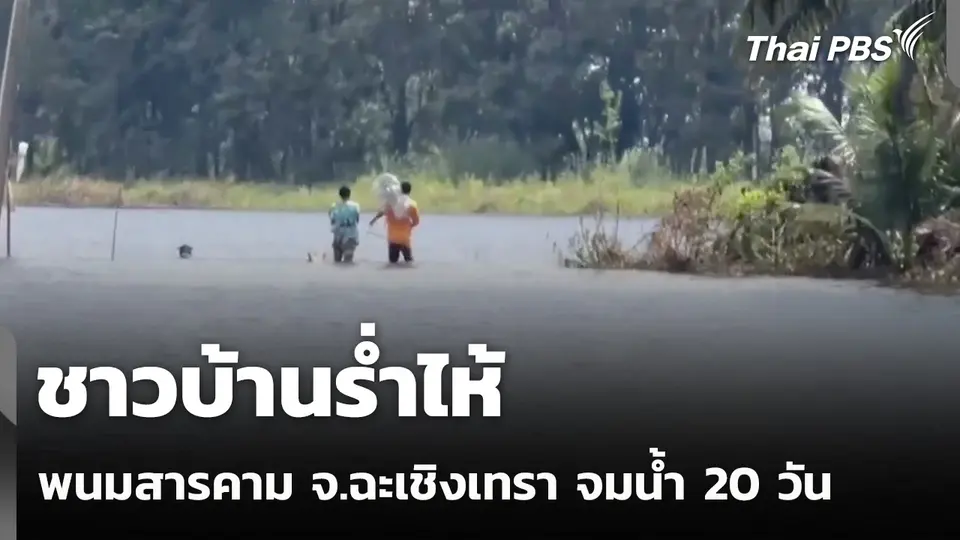ชาวบ้านร่ำไห้ พนมสารคาม จ.ฉะเชิงเทรา จมน้ำ 20 วัน
