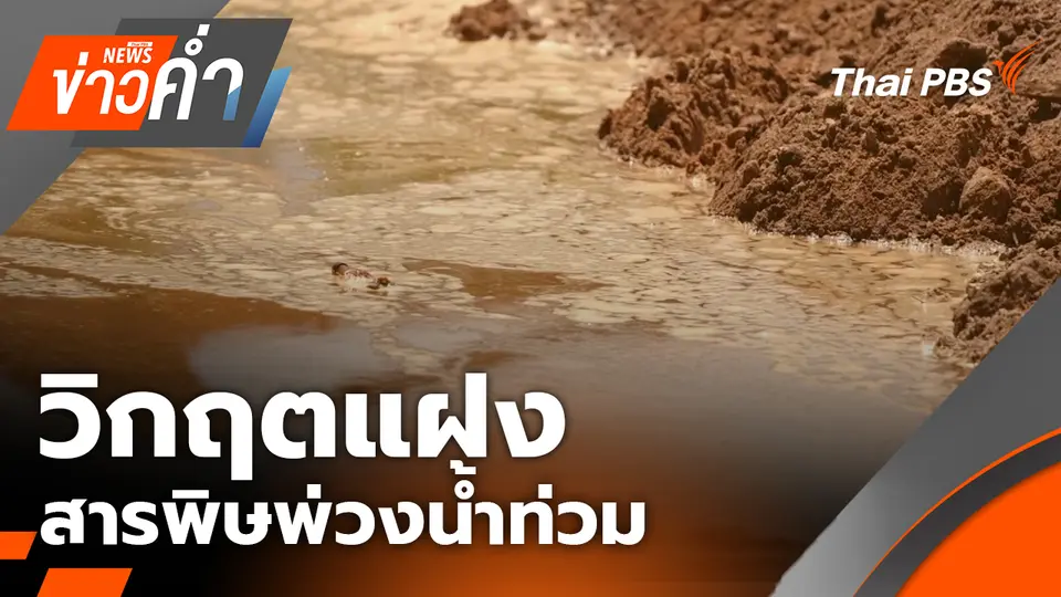 วิกฤตแฝง สารพิษพ่วงน้ำท่วม