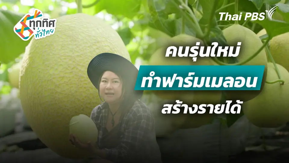 คนรุ่นใหม่ทำฟาร์มเมลอนสร้างรายได้