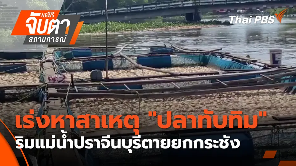 จับตาสถานการณ์