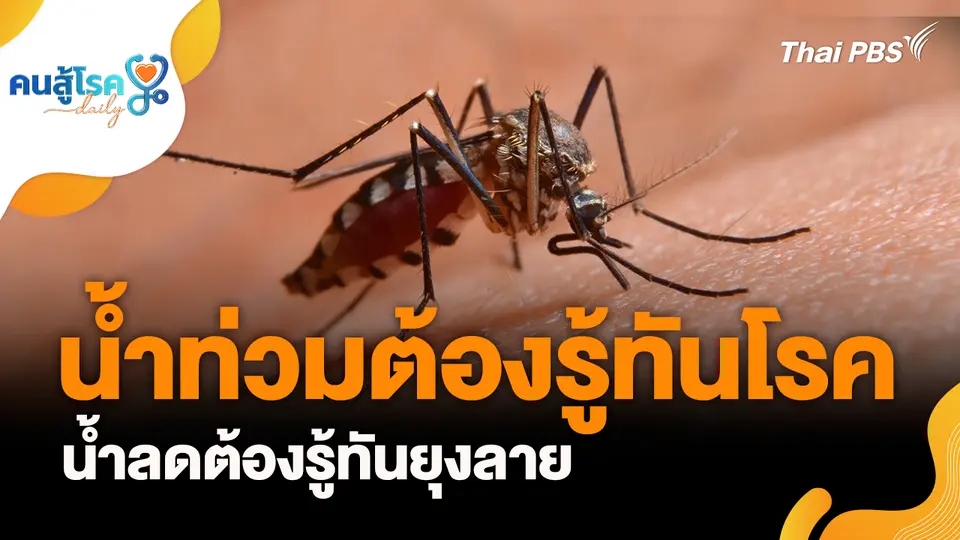 น้ำท่วมต้องรู้ทันโรค น้ำลดต้องรู้ทันยุงลาย