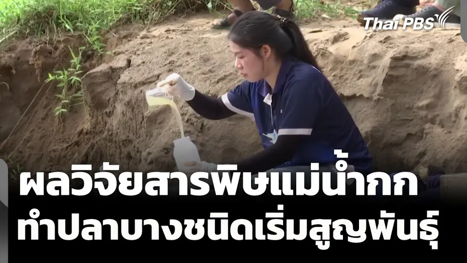 เปิดผลวิจัยสารพิษแม่น้ำกก กระทบปลาบางชนิดเริ่มสูญพันธุ์