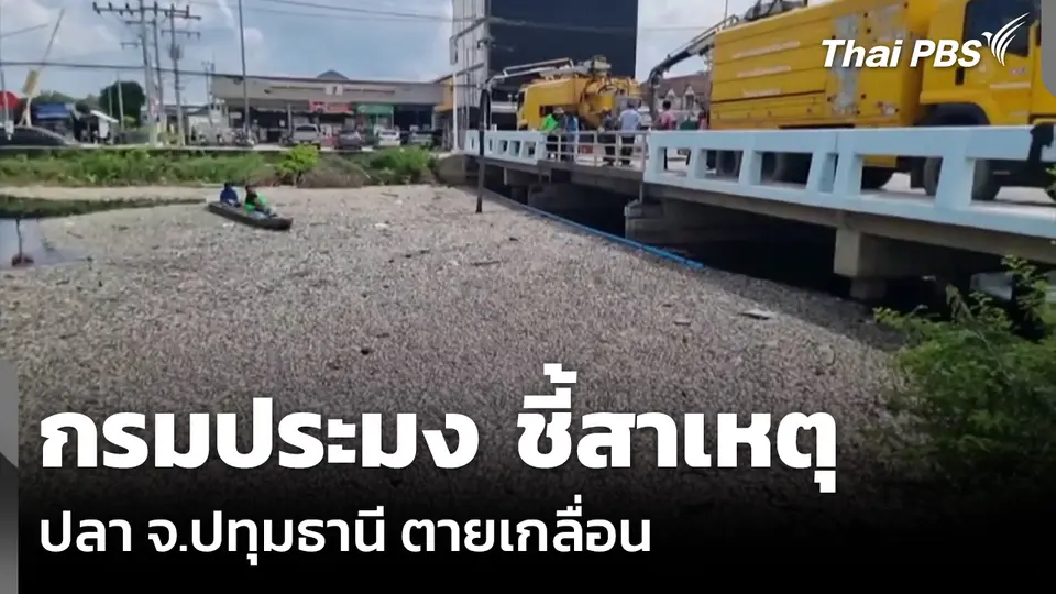 กรมประมง ชี้สาเหตุปลา จ.ปทุมธานี ตายเกลื่อน