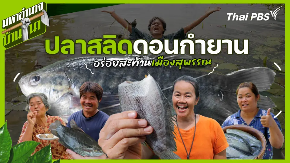 มหาอำนาจบ้านนา