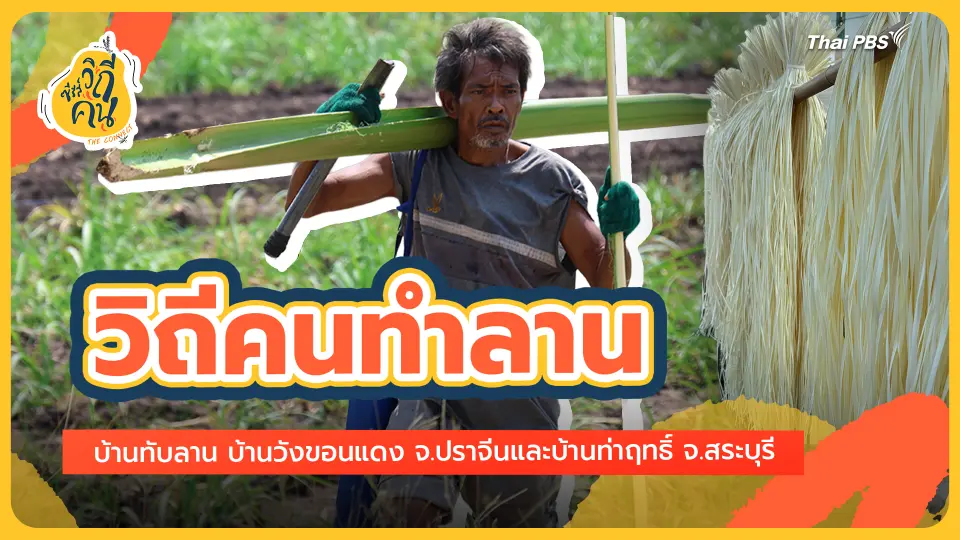 ซีรีส์วิถีคน