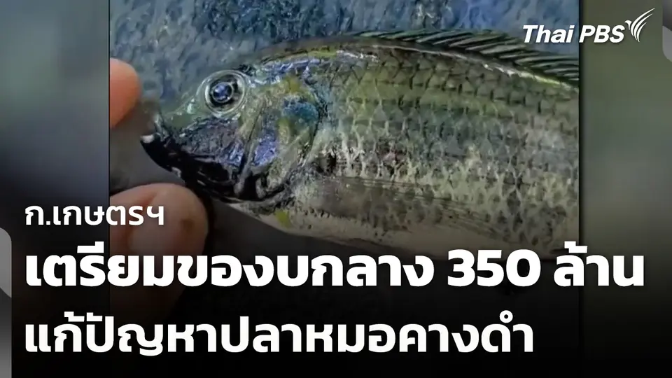 ก.เกษตรฯ เตรียมของบกลาง 350 ล้าน แก้ปัญหาปลาหมอคางดำ