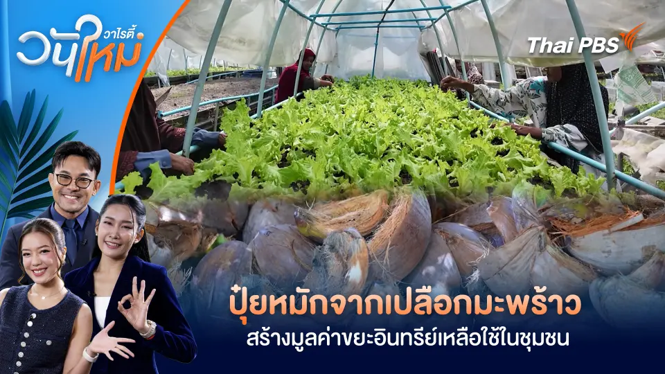 ปุ๋ยหมักจากเปลือกมะพร้าวสร้างมูลค่าขยะอินทรีย์เหลือใช้ในชุมชน จ.ปัตตานี