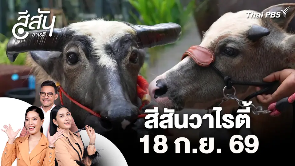 สีสันวาไรตี้ (18 ก.ย. 69)