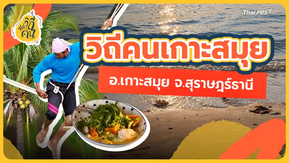 ซีรีส์วิถีคน