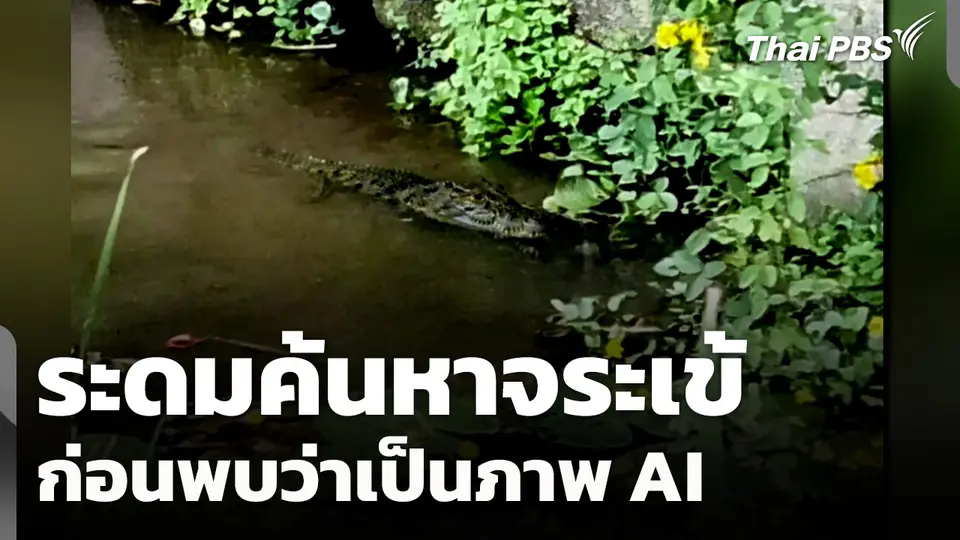 ระดมค้นหาจระเข้ ก่อนพบว่าเป็นภาพ AI 