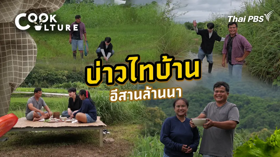 Cook Culture