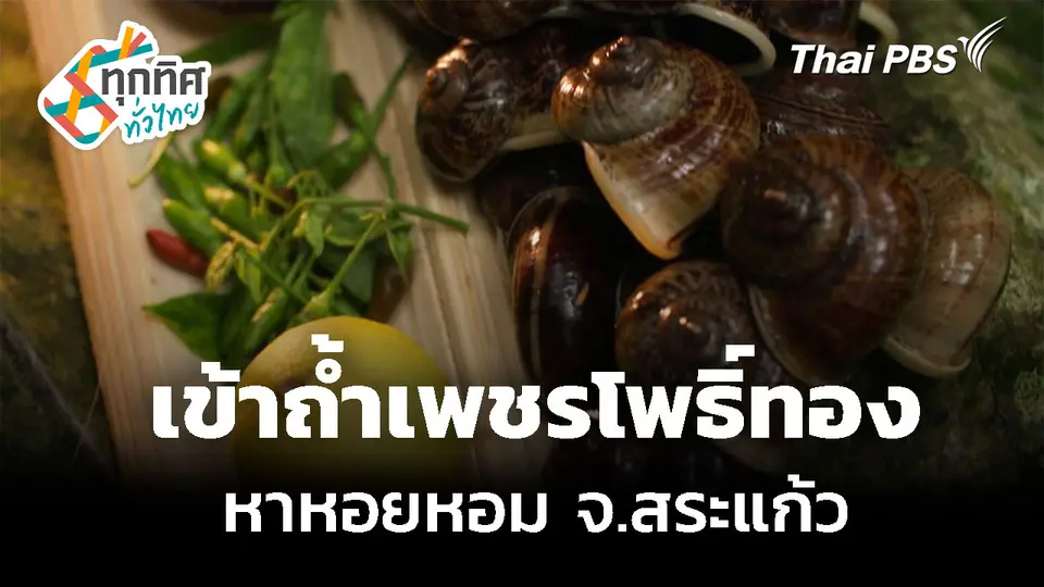 เข้าถ้ำเพชรโพธิ์ทอง หาหอยหอม จ.สระแก้ว