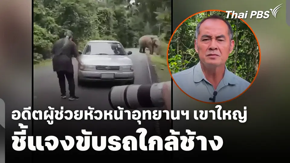 อดีตผู้ช่วยหัวหน้าอุทยานฯ เขาใหญ่ ชี้แจงขับรถใกล้ช้าง