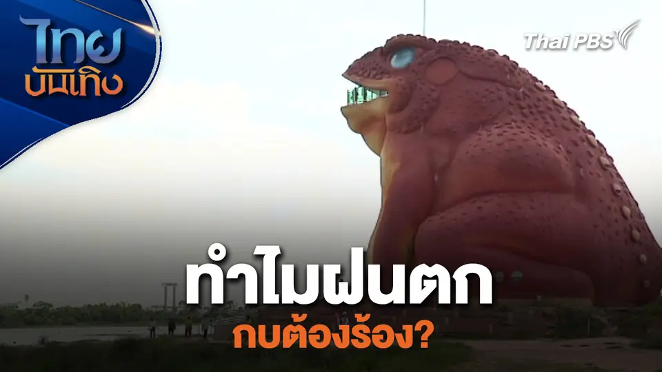 ทำไมฝนตก กบต้องร้อง?