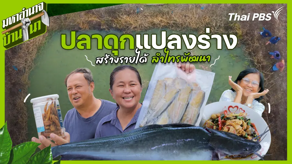 มหาอำนาจบ้านนา
