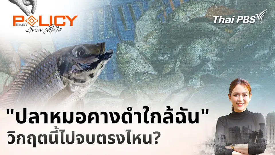 Policy Easy นโยบายเข้าใจได้