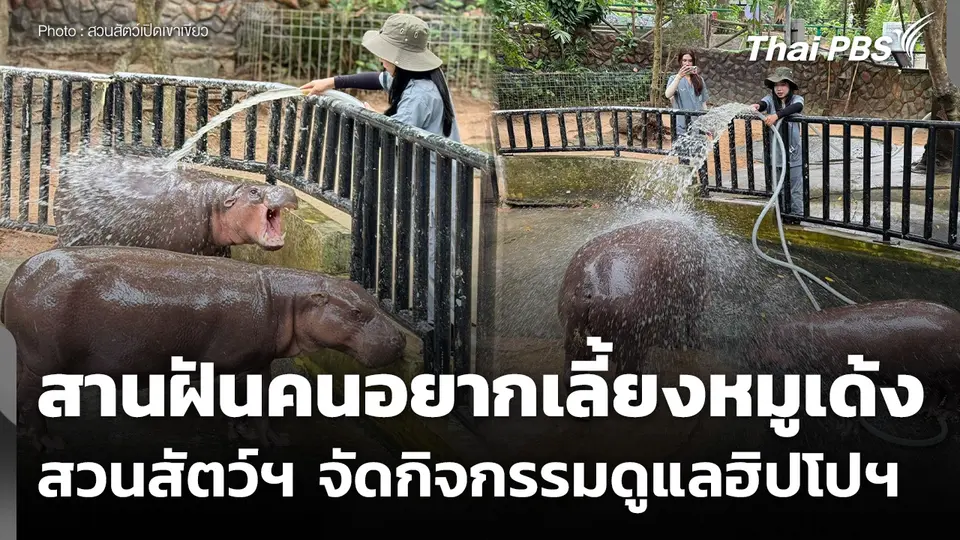 สวนสัตว์เปิดเขาเขียว ชวนทำกิจกรรมสัมผัสชีวิต "หมูเด้ง"