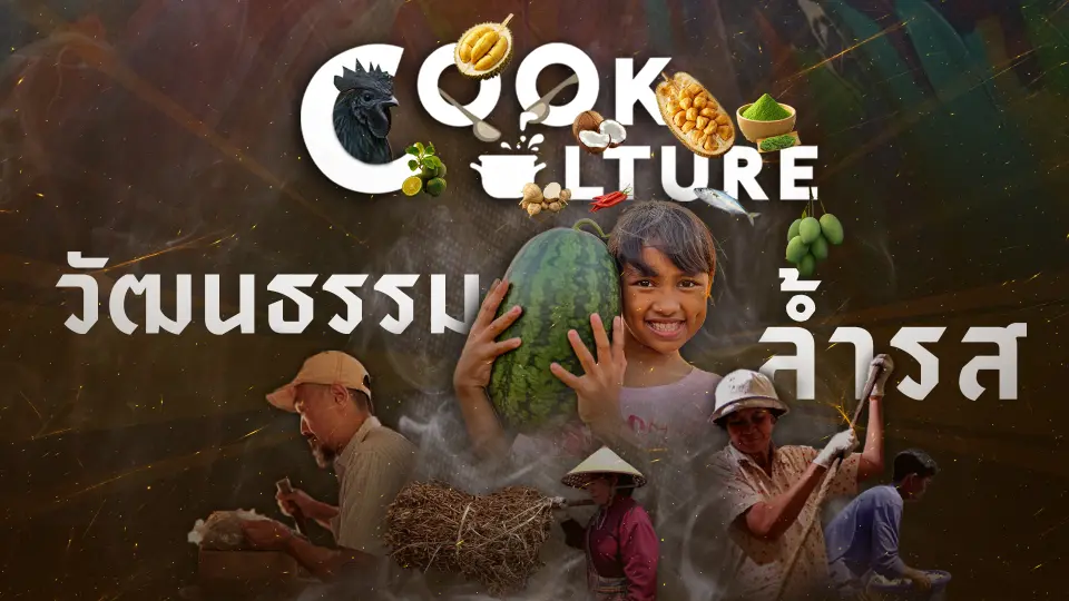 Cook Culture