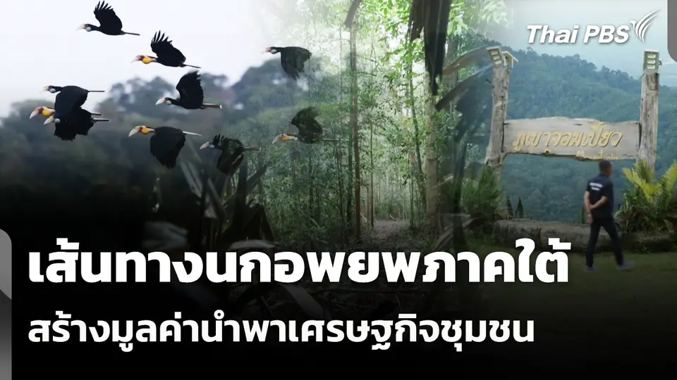 เส้นทางนกอพยพภาคใต้ สร้างมูลค่านำพาเศรษฐกิจชุมชน