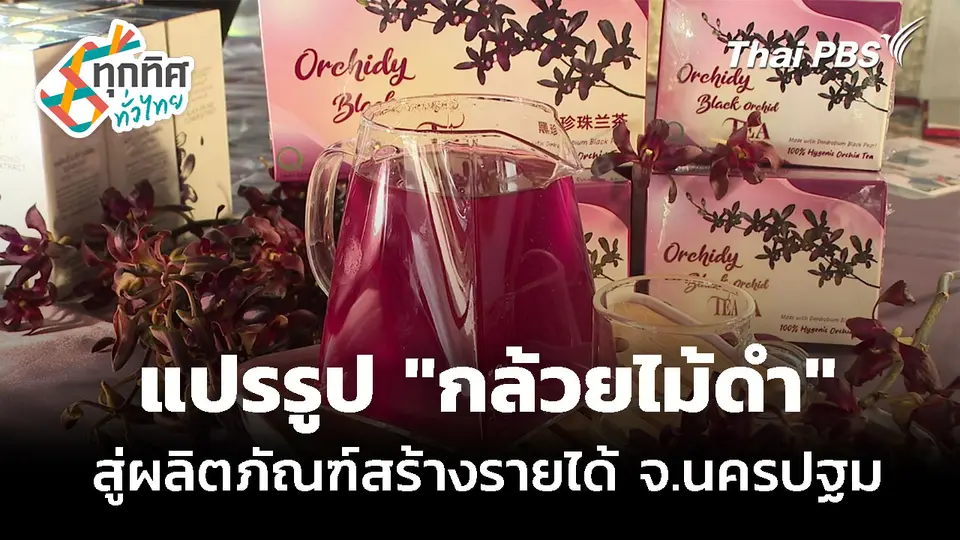 แปรรูป "กล้วยไม้ดำ" สู่ผลิตภัณฑ์สร้างรายได้ จ.นครปฐม