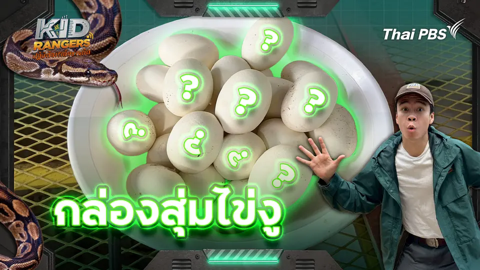 Kid Rangers ปฏิบัติการเด็กช่างคิด