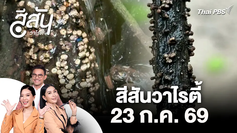 สีสันวาไรตี้ (23 ก.ค. 69) 