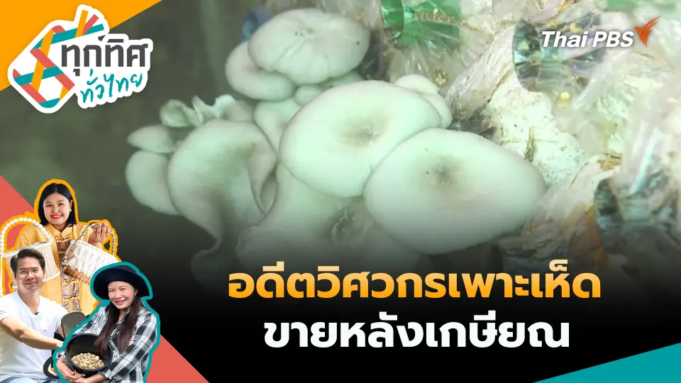 ทุกทิศทั่วไทย