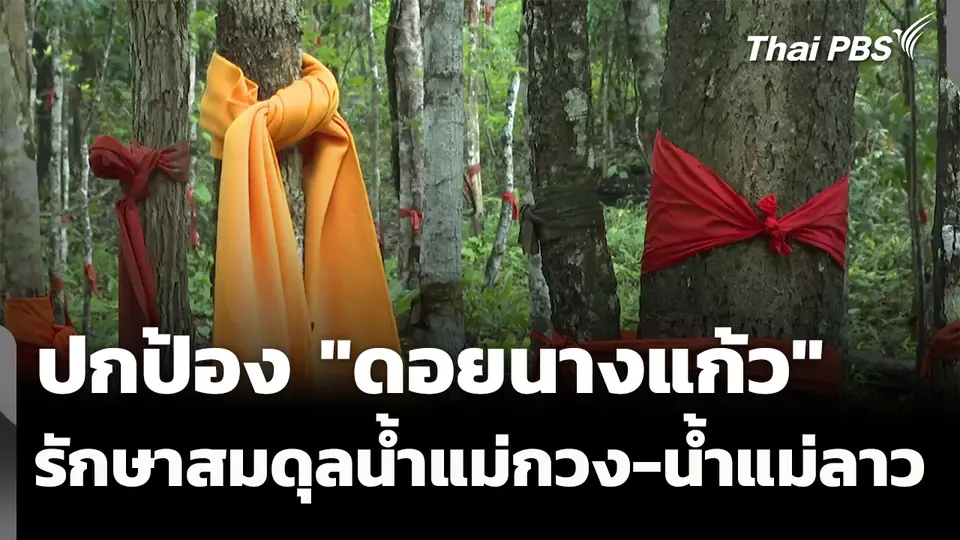 ปกป้อง "ดอยนางแก้ว" รักษาสมดุลน้ำแม่กวง-น้ำแม่ลาว