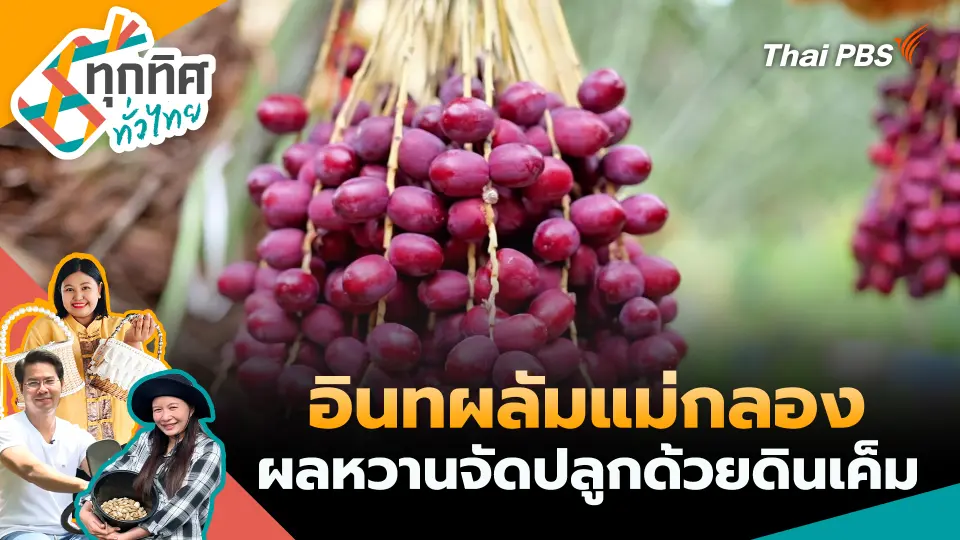 ทุกทิศทั่วไทย