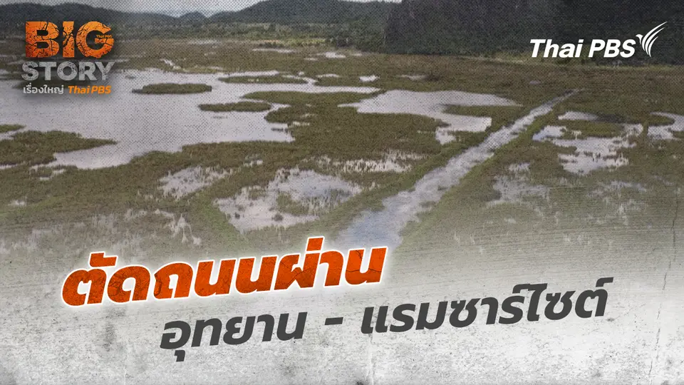 ตัดถนนผ่านอุทยาน - แรมซาร์ไซต์