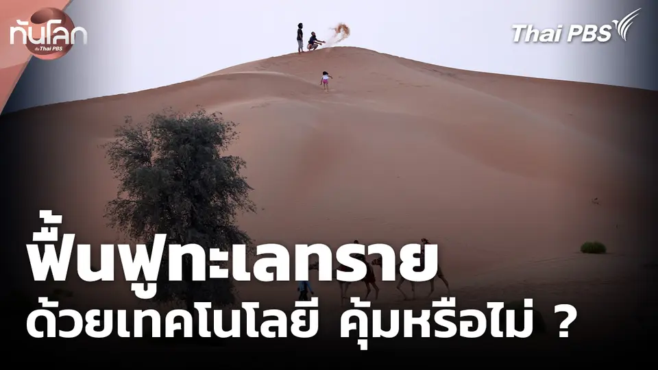 ฟื้นฟูทะเลทรายด้วยเทคโนโลยี คุ้มหรือไม่ ?