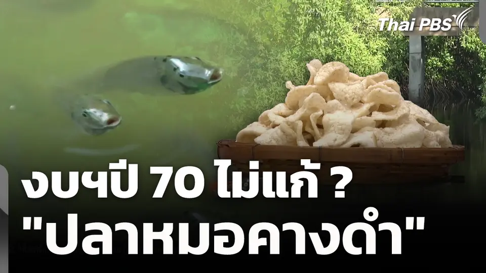 งบฯปี 70 ไม่แก้ ? "ปลาหมอคางดำ" 