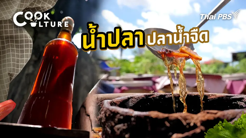 Cook Culture