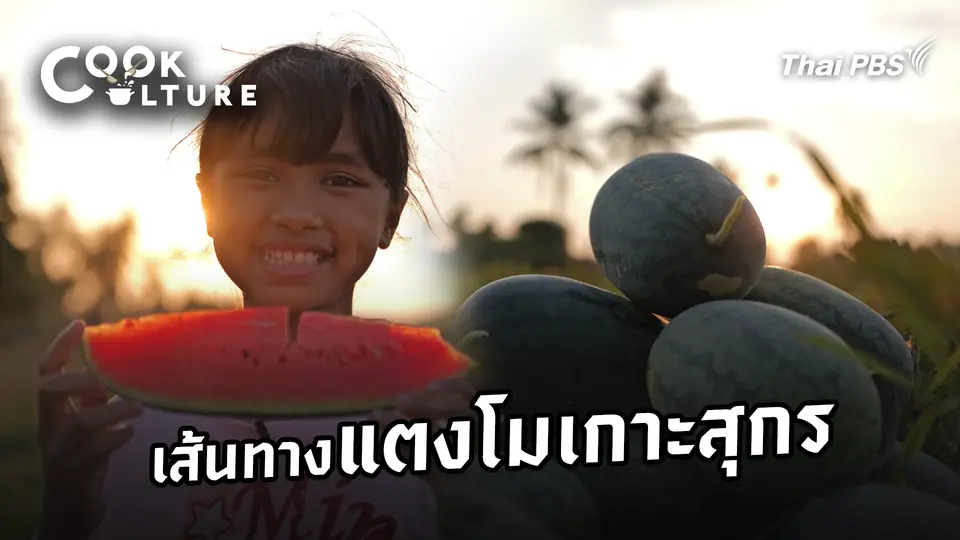 เส้นทางแตงโมเกาะสุกร