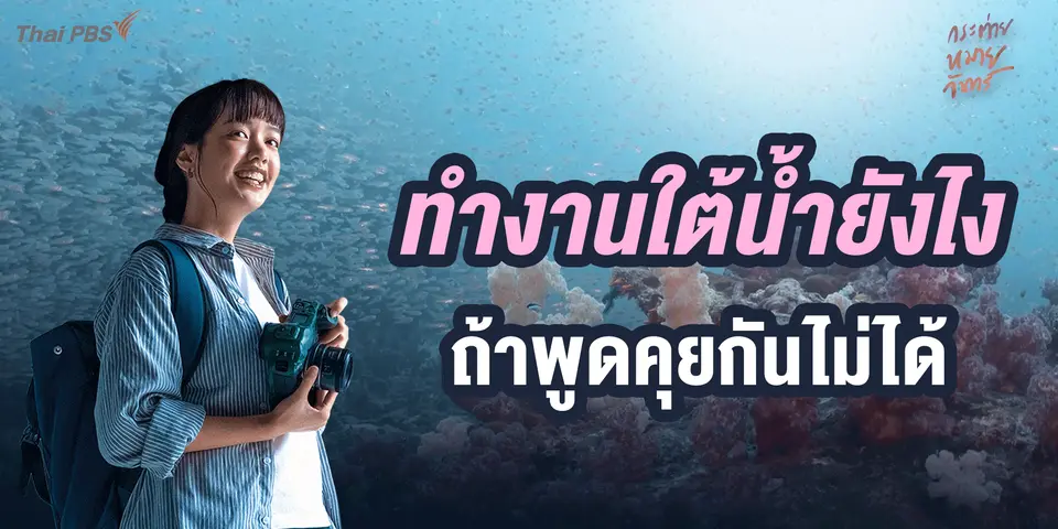 ทำงานยังไง ถ้าพูดคุยกันไม่ได้  | กระต่ายหมายจันทร์