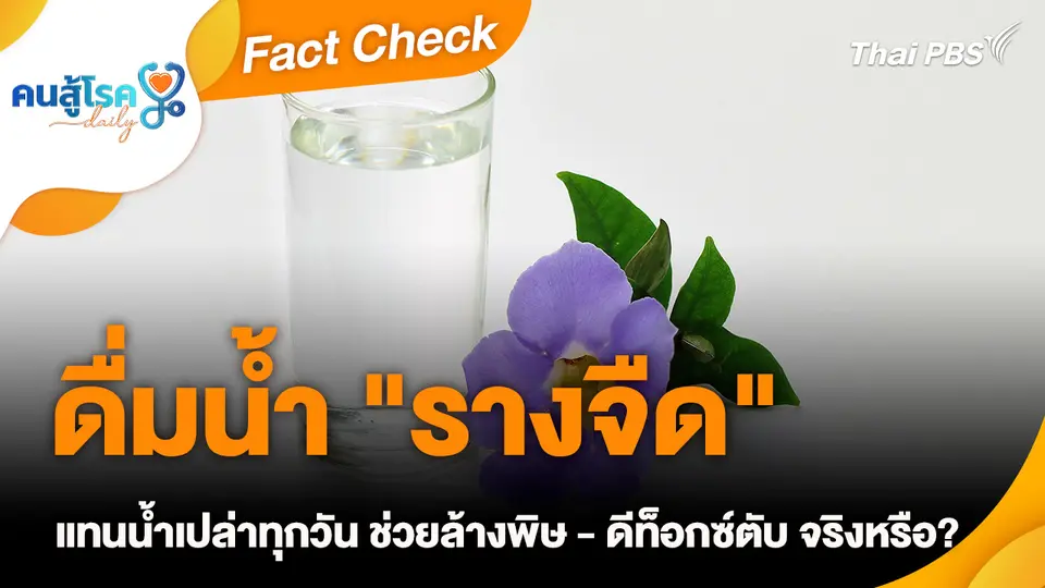 Fact Check :  ดื่มน้ำ "รางจืด" แทนน้ำเปล่าทุกวัน ช่วยล้างพิษ - ดีท็อกซ์ตับ จริงหรือ?