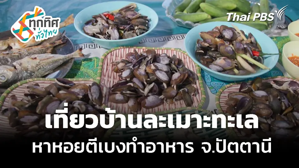 เที่ยวบ้านละเมาะทะเล หาหอยตีเบงทำอาหาร จ.ปัตตานี