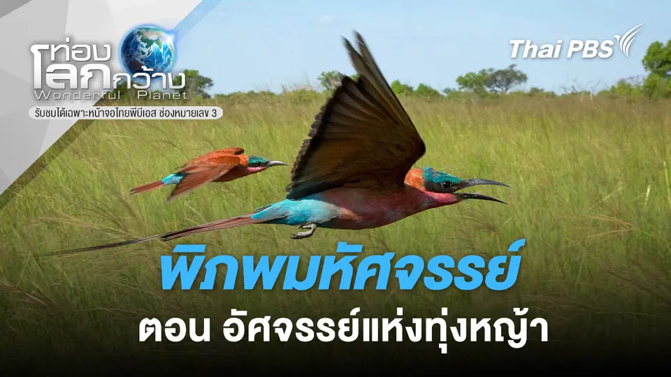 ท่องโลกกว้าง