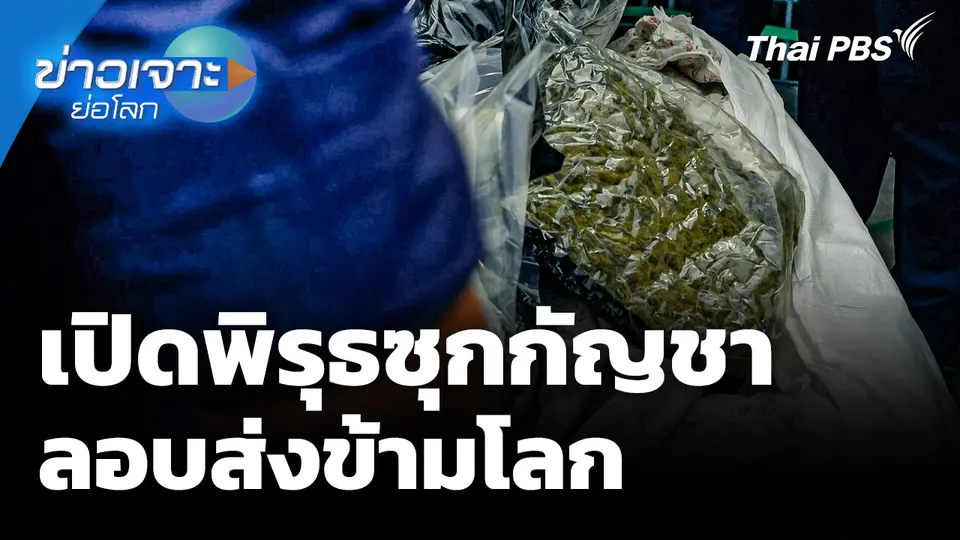 เปิดพิรุธซุกกัญชา ลอบส่งข้ามโลก