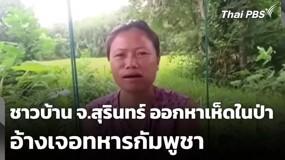 ชาวบ้าน จ.สุรินทร์ ออกหาเห็ดในป่า อ้างเจอทหารกัมพูชา