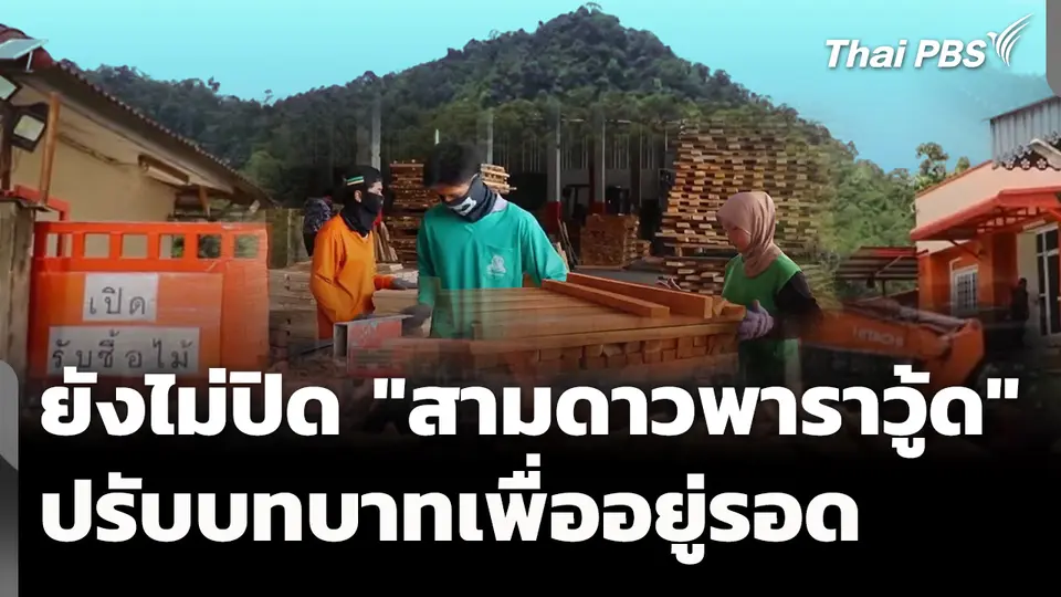 ยังไม่ปิด "สามดาวพาราวู้ด" ปรับบทบาทเพื่ออยู่รอด