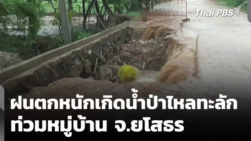 ฝนตกหนักเกิดน้ำป่าไหลทะลัก ท่วมหมู่บ้าน จ.ยโสธร