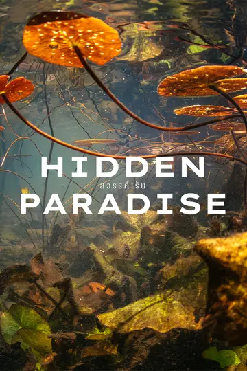 cover-image