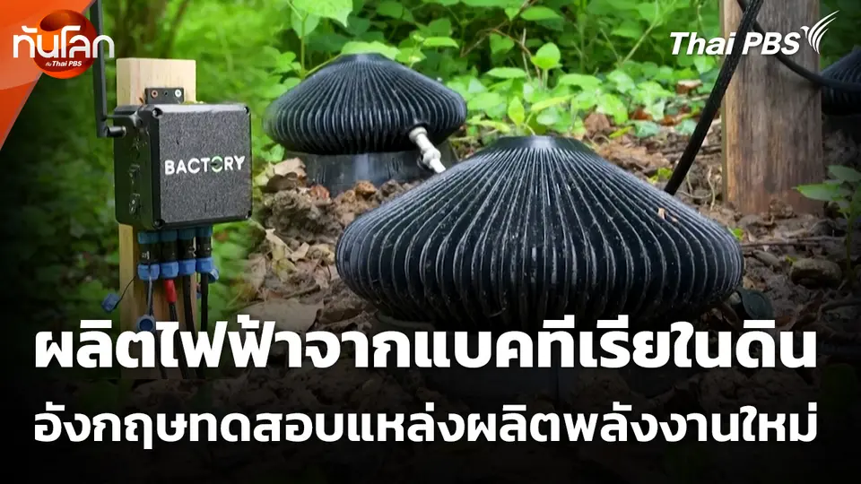 อังกฤษทดสอบผลิตไฟฟ้าจากแบคทีเรียในดิน