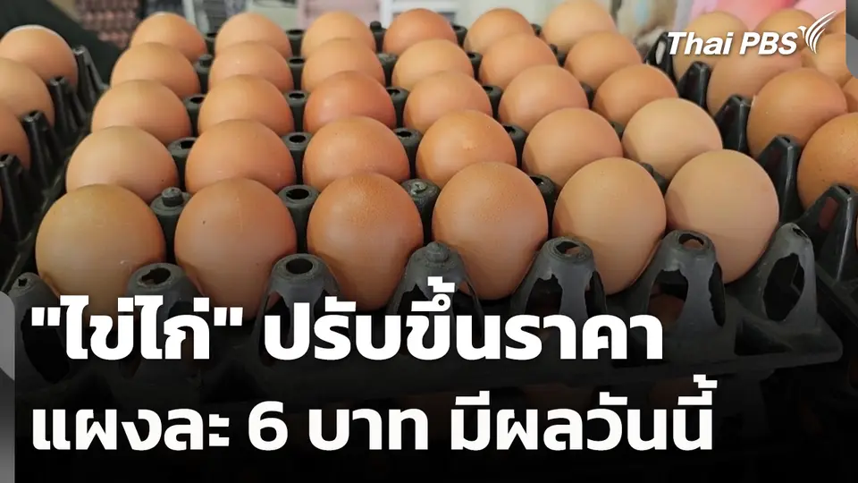 "ไข่ไก่" ปรับขึ้นราคาแผงละ 6 บาท มีผลวันนี้