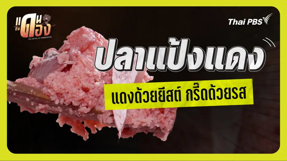 ปลาแป้งแดง