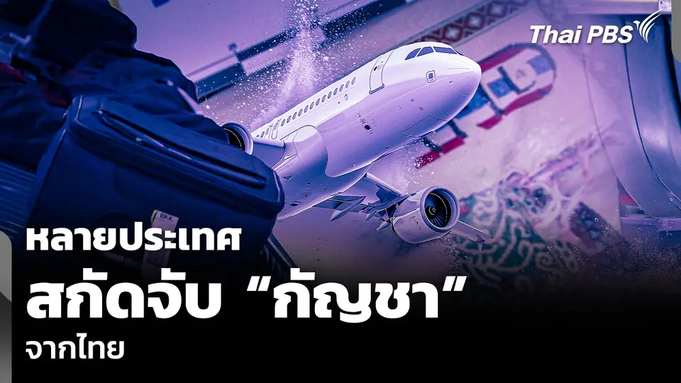 หลายประเทศสกัดจับ “กัญชา” จากไทย